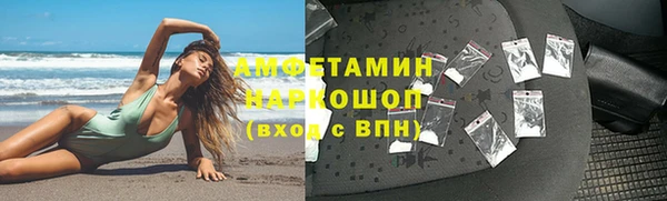 прущие грибы Беломорск