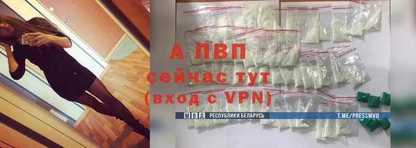 стаф Белоозёрский
