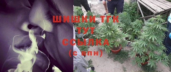 СК Богородицк