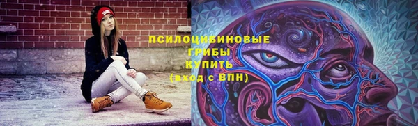 стаф Белоозёрский