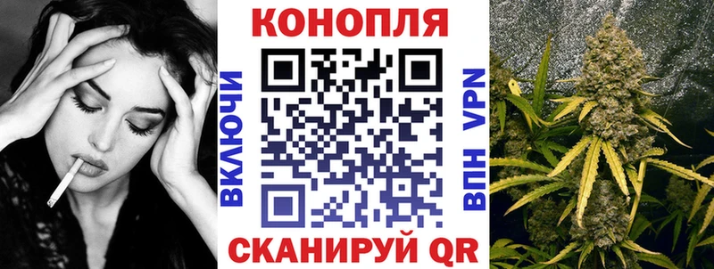 Шишки марихуана семена  Бодайбо 